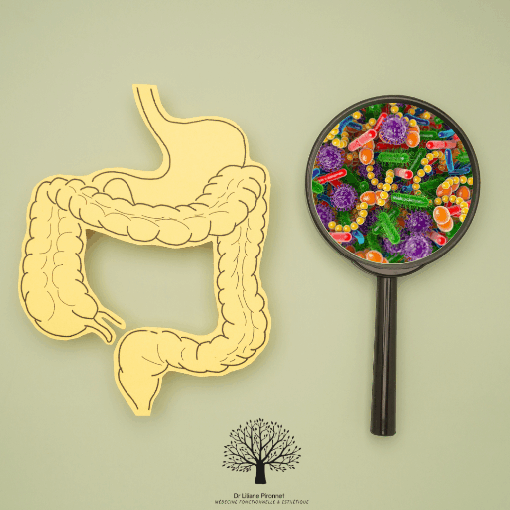 Le microbiote : un acteur clé de notre santé